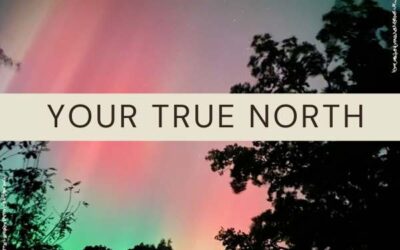 Uncover Your True North